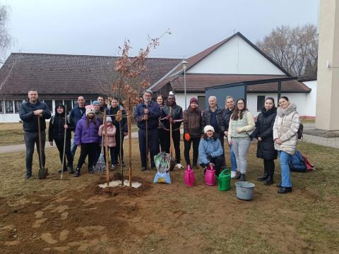 tree planting in March