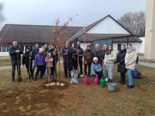 tree planting in March